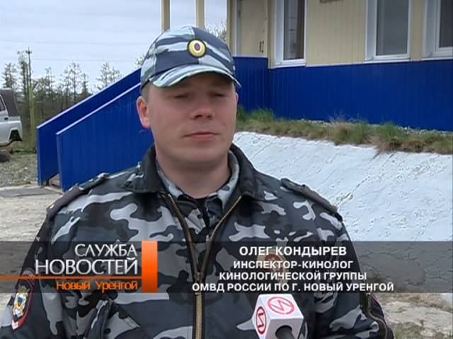 В России отмечают День кинологических подразделений МВД.