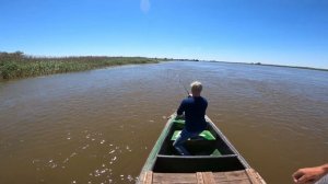 Поймали РАКУШКУ размером с голову. Огромная ТАРАШКА. Рыбалка в АСТРАХАНИ на низах. Ловля САЗАНА.
