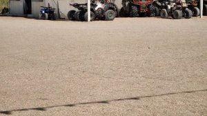 Пляжи Должанской 2024.mp4