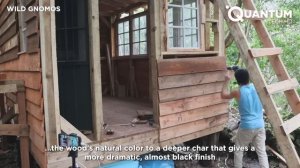 Man Builds WOOD CABIN in Just 15 Days in the Forest for $3000 | by @WildGnomos