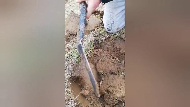 Клад монет серебра! Поиск золота и дорогих монет с металлоискателем.