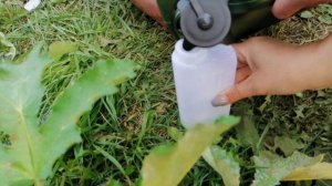 БЕНЗИНОВАЯ ПИЛА. Какую лучше купить?