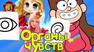 ФЕЯ СОФИЯ в Супер Школе! Новый урок: пять органов чувств!