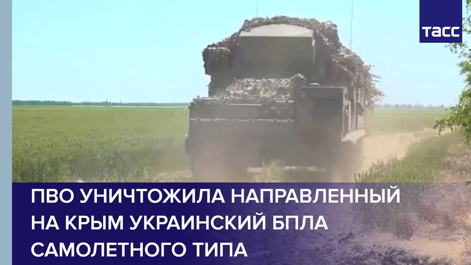 ПВО уничтожила направленный на Крым украинский БПЛА самолетного типа
