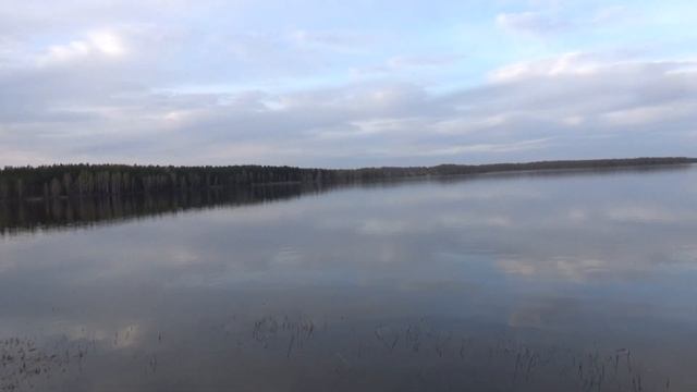 Озеро Белое, Рязанская область смотреть онлайн