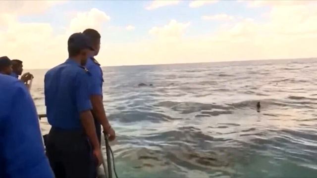 Что-то барахталось в воде. Поняв, что это, моряки не задумываясь бросились за борт❗