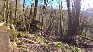 АЖЕК 2023. Экопоселение Ажек. Лучший мед в Сочи. Водопад Ажек. Ореховский водопад. Найденыш Чук.