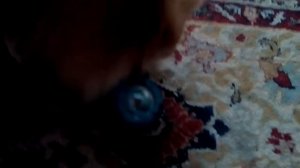 Лайфхак как научить собаку играть с игрушкой?
