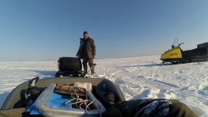 Ловим берша на Волге. Старая Майна. Второй день