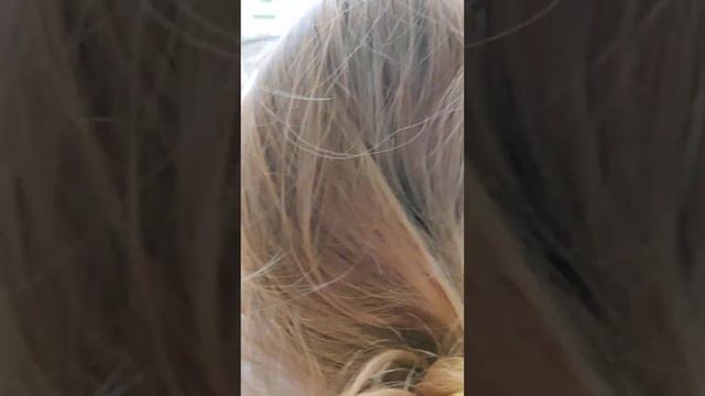 Квест "Пасхальный заяц. В поиске подарков". смотреть онлайн