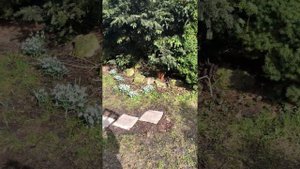 Fiskars телескопическая штанга для насадки очистки водостока