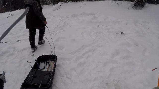 Весенние монстры реки Етыпур! Давит , как сумасшедший! смотреть онлайн