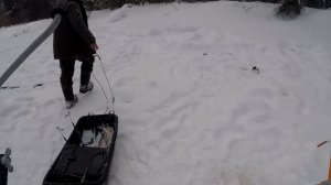 Весенние монстры реки Етыпур! Давит , как сумасшедший!