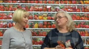 Томаты от "Сибирского сада". Самые ВКУСНЫЕ сорта.