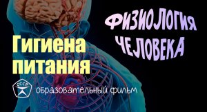 Гигиена питания.avi