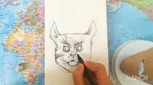 КАК НАРИСОВАТЬ МОРДУ КОТА?/ How To Draw a Cat?