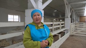 Производство козьего молока в Акмолинской области