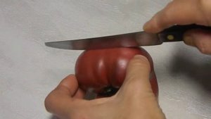 Томат Борония гном. Тест зрелых плодов.