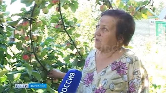 Яблочный спас смотреть онлайн