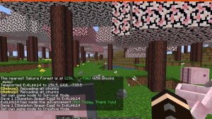 Sakura Rosea 1.15.2 Forge Mod Overview