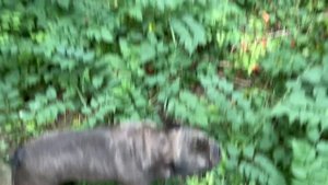 ещё одно ВАЖНОЕ дело в доме на Юге ЗАВЕРШЕНО // один год и 200 тыс