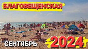 Валим из Голубицкой в - #Благовещенская 2024 Настоящий рай на земле! Такое красивое Зеленое море