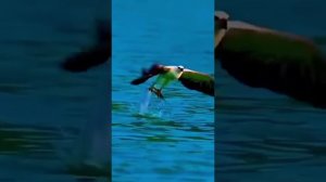 НЕМНОГО УТРЕННЕЙ ЗАРЯДКИ