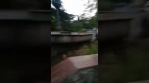 Алуштинский санаторий