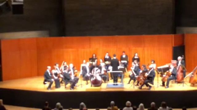 Jean Baptist Vanhal Kontrabass Konzert in D-Dur, Petru Iuga Double-bass 2nd-3rd mov. смотреть онлайн