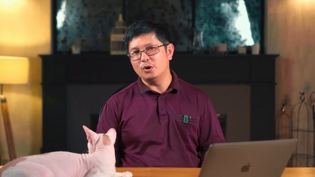 Бизнес на лысых кисках смотреть онлайн