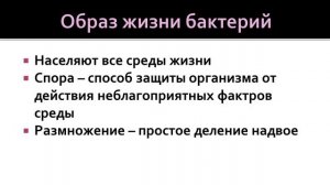Биология 9 класс. Примитивные организмы