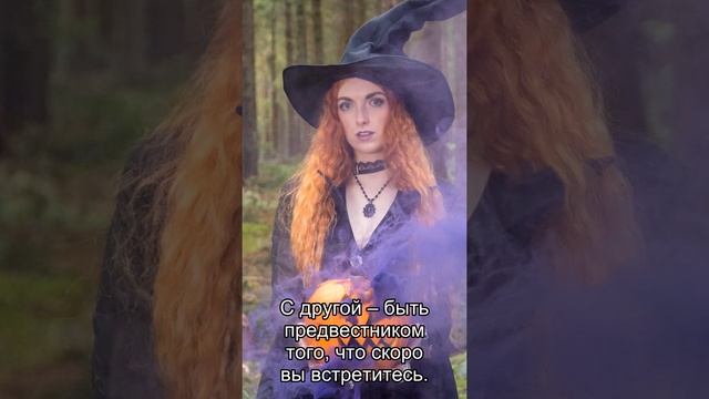 Сон дня: К чему снятся Старые друзья? смотреть онлайн