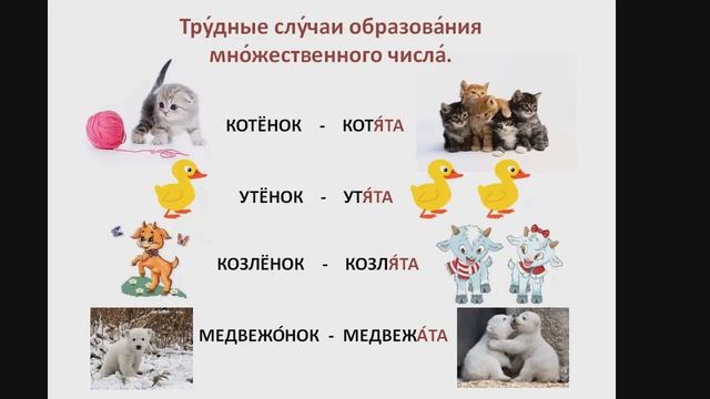 Образование множественного числа существительных РКИ (детям).