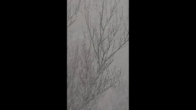 Когда ты выходишь на балкон в 11 утра, а там...