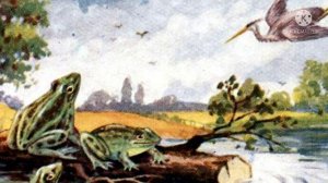 ЛЯГУШКИ ПРОСЯЩИЕ ЦАРЯ Басни Крылова