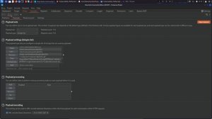11.11. Bypassing Server-Side Filters - Part 2