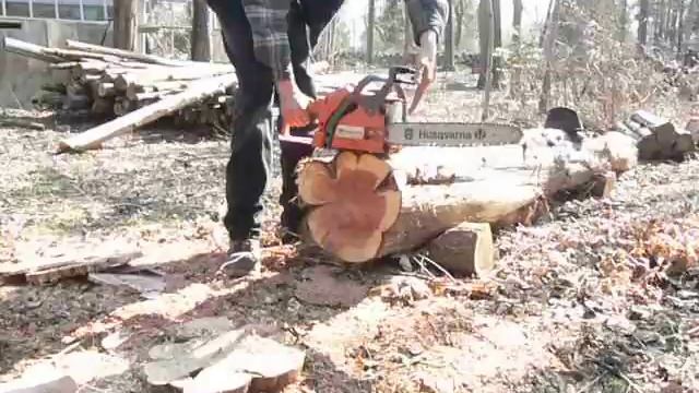 Stihl MS180C Vs. Husqvarna 142 - Part No. 2, Review and Test смотреть онлайн