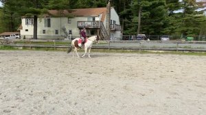 Amber F & Splash of Sass | Green Horse Pleasure U/S WT | Class 21