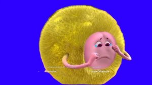 бублик плачет футаж 2