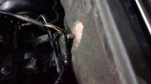 Fiat código P0443....