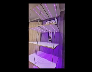 полки для рассады своими руками