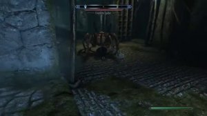 Skyrim: Ledgendary Difficulty. Archer Bow only