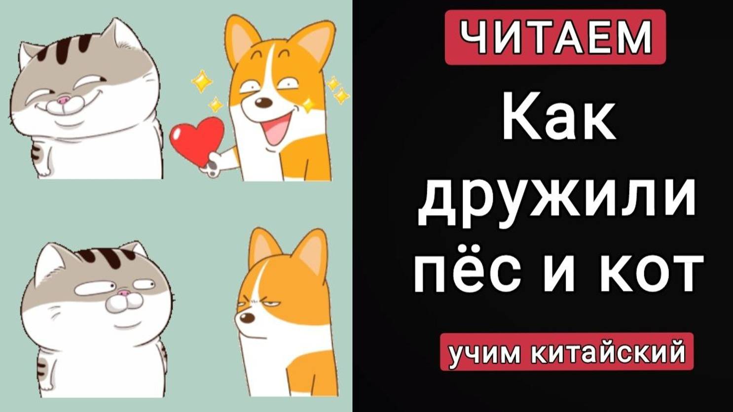 КАК ДРУЖИЛИ ПЁС И КОТ. ДЛЯ ДЕТЕЙ СКАЗКА НА КИТАЙСКОМ.