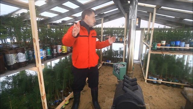 Теплица и парник для прививки. смотреть онлайн