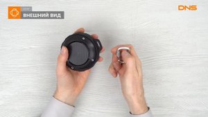 Распаковка портативной аудиосистемы DEXP P290 / Unboxing DEXP P290