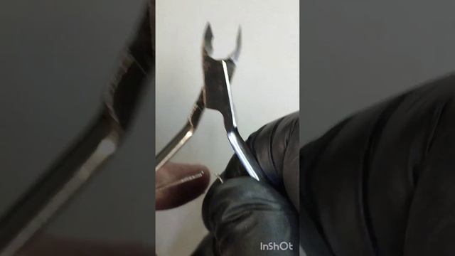 Обучение заточки.