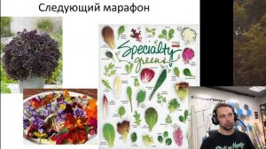 Базилик, Пищевые цветы, Рукола, Бэйби-листья. Новый марафон