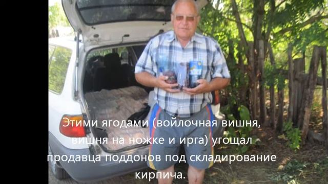 Разборка Дачного домика смотреть онлайн