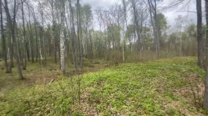 Золотаревское городище