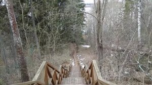 Лесенка к Волге в санатории имени Станко